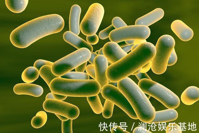 小娟|3岁男童,查出肠穿孔,医生查明病因,妈妈怒吼:不许奶奶见孙子