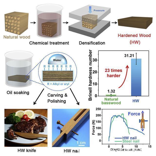 安检|科学家造出比钢刀还锋利3倍的木刀,网友:这是在给安检出难题啊