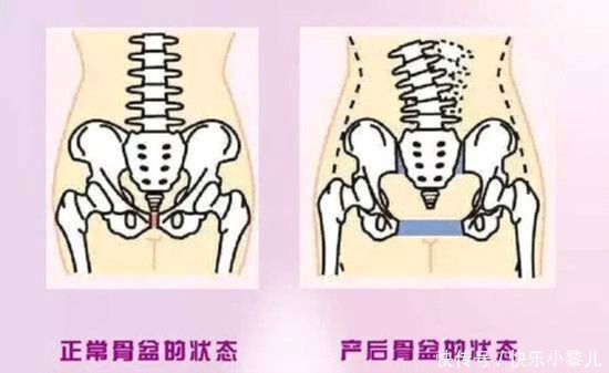 腹直肌|产后受损的三个重要部位，产妇一定要及时修复，别等老了再后悔