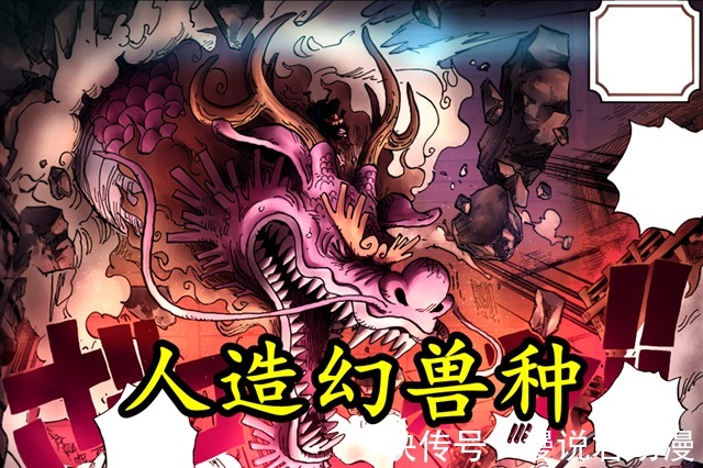 凯多|海贼王:CP0发现恶魔果实之秘,凯多之力可能遭量产