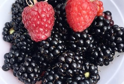 肌肤|聪明女性爱美,离不开的三种食物,排毒减肥,补血抗衰,肌肤更好