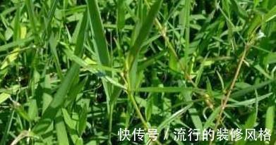 苦瓜|生活中,想要远离癌症,这10种食物要多吃,防癌又养生