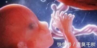 皱缩状|一组图记录怀胎十月,胎儿发育全过程,看完后,感叹生命神奇