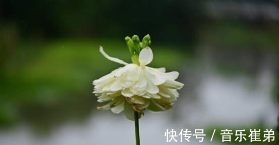 前程$俗语说:人若软弱,易招祸患。每个人尽量别在这三件事上太过软弱