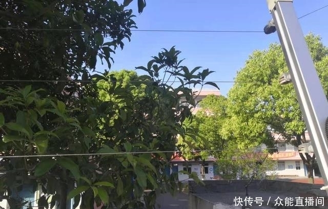 路过三十年前的小学母校，差点没认出来