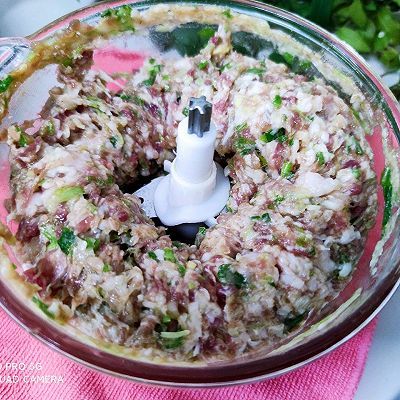 营养均衡|猪肉豆角饺子