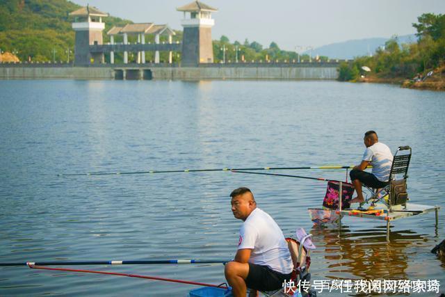 鱼口|夏天在高温天气钓鱼,饵料味型怎样调配夏天钓鱼饵料的调味技巧