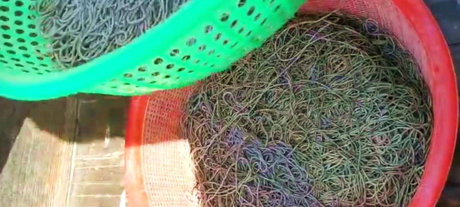 黄河渔人:一串钩长5公里,钓鱼几百斤!超过办公室工作人员收入