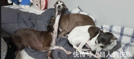 |笑话:难怪我多年数学不好,都是这个特征拖我后腿