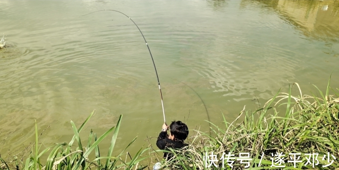 大鱼进窝的征兆你要懂，你若懂了离钓到大鱼就不远了！