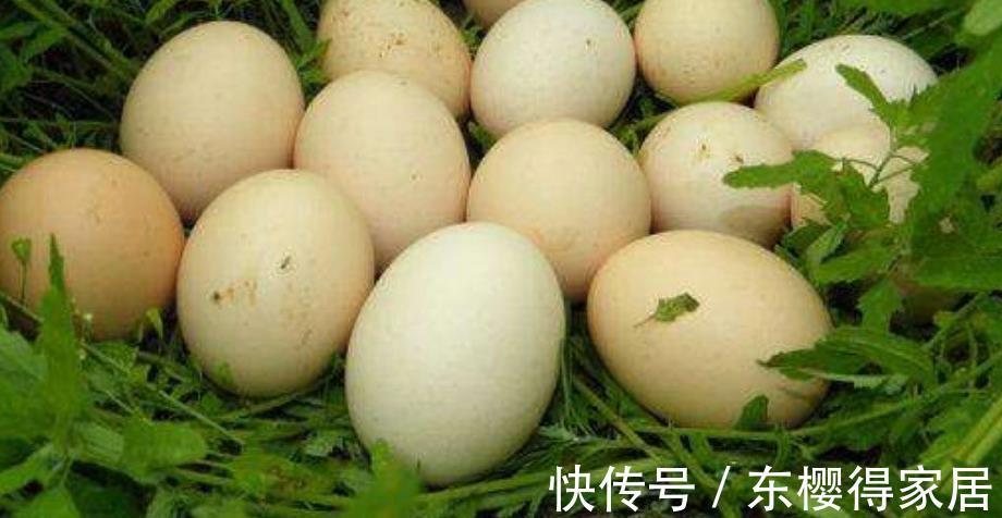 土豆|全部都是谣传，这些谎言策划精良，盘点养花坑爹那点事