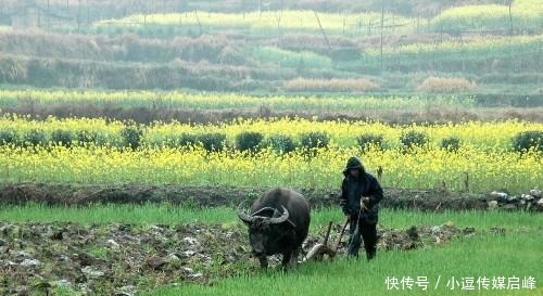 过年就是过春节吗？不，古代的春节和过年原本可不是一回事