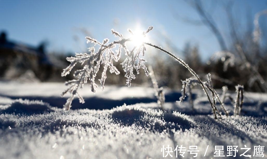 冬天@寒夜煮茗,围炉清谈。宋诗里的冬天温暖美好,是生活不可缺的诗意