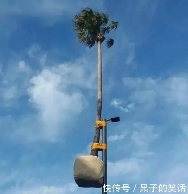 强迫症&14个奇葩反人类设计,逼死强迫症,设计师你站出来