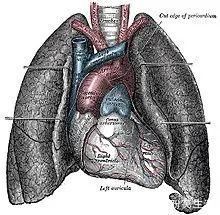 戒烟|肺癌的10大早期症状！早发现，九成可治好