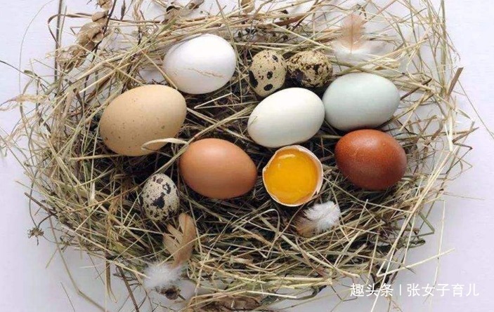 营养物质|如果你怀孕了,常吃这7种食物,孕妈少生病,胎儿聪明又健康