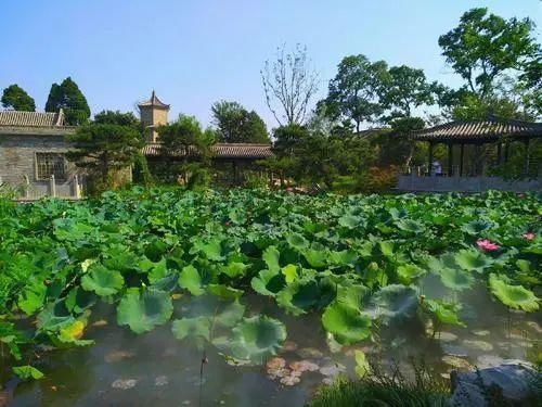 好消息！尤家花园景区近期仍免费！