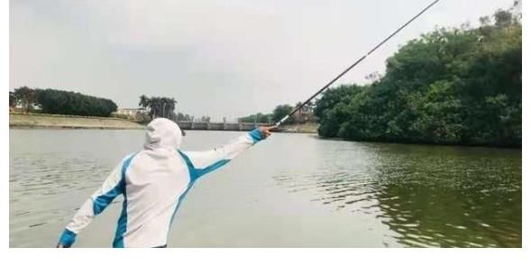 黑鱼|小鱼一闹就火冒三丈，庆幸老司机指点迷津，试过才知百用不厌