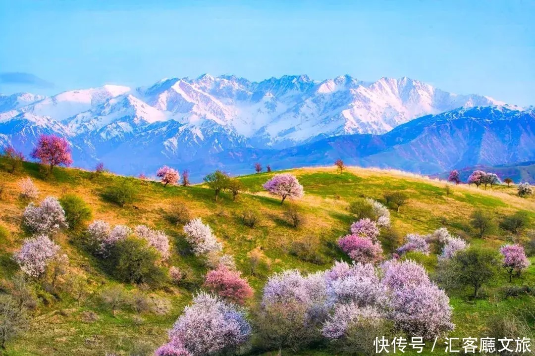 翻雪山穿沙漠，流连异域小镇，寻访新疆烂漫“花火”