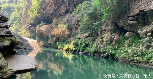 牛尾巴|广西钓友地下河出口钓起许多“奇怪黄辣丁”,最大的四十多公分长