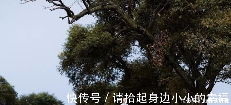 周易·系辞下|人生的四大天规，比风水定律厉害百倍