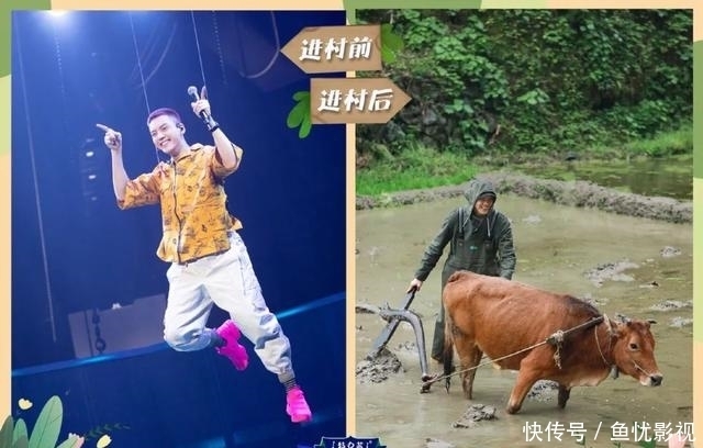 什么是明星们的“真面目”?看看《向往的生活》就知道了