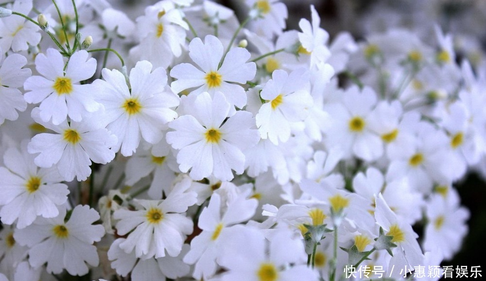  短短|妻子吃醋了，柳永特意给她写了首肉麻情词，短短几句堪称哄妻典范