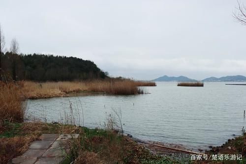 两条溪水汇成的湿地，周边都是优美的风景，再过一个月就是最美时