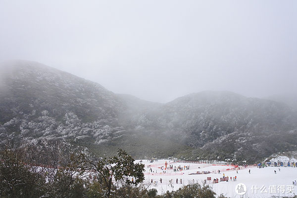 金佛山|夏日忆雪---重庆南川金佛山赏雪记