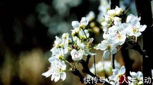 独自一人#杜牧被贬的一首诗,借酒消愁,读完悲从中来心碎不已,结尾更经典