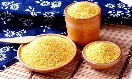 富硒金小米 漳水灌溉 天生“硒”有！|养生秘籍 | 北纬37