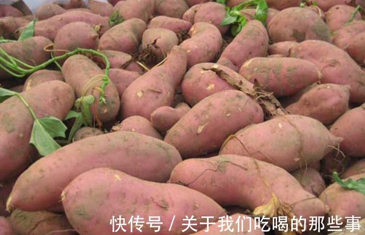 碱面|红薯不能堆着放，农村大婶教你一招，半年不长芽不霉烂，越放越甜