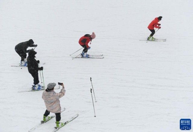 临安区|冰雪经济暖寒冬