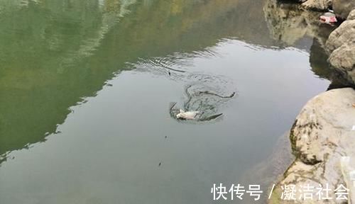 冬季钓大鲫鱼,这五种钓位藏鱼多,遇上了别错过,连竿上鱼很轻松