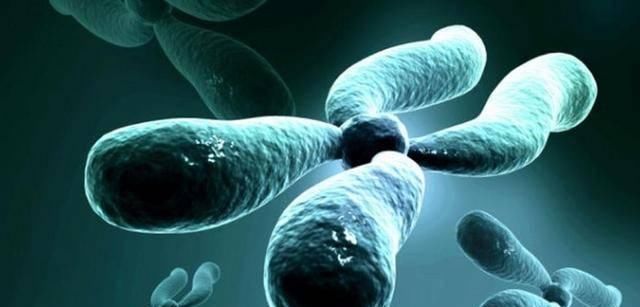 你是色“盲”吗？关于颜色的小知识，送给你们