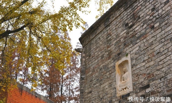 襄阳|襄阳广德寺，一座多宝塔一棵将军树，穿越千年亘古不变