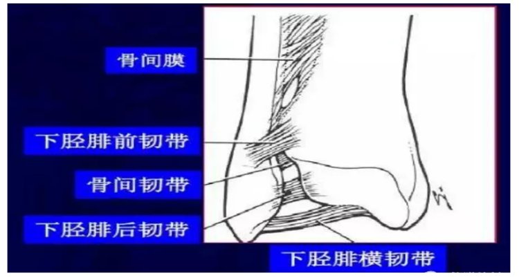 潍坊市中医院东院区康复中心|踝关节反复扭伤怎么办？潍坊市中医院东院区康复中心来支招