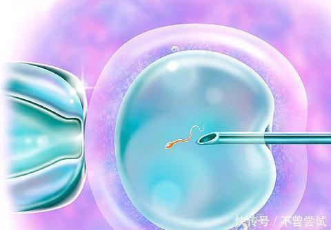 医院|试管和普通婴儿有差距吗是智力还是寿命,听听专家怎么说
