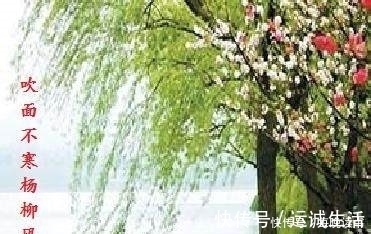 春风$十二首描写风的诗词，古人太有才，如何不开怀