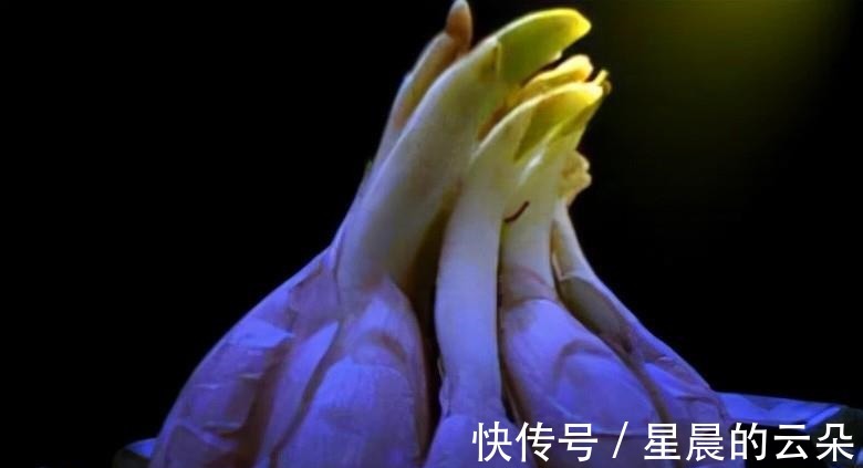 养这5种盆栽,0℃都开花,且最后一种花期超长,像假花一样