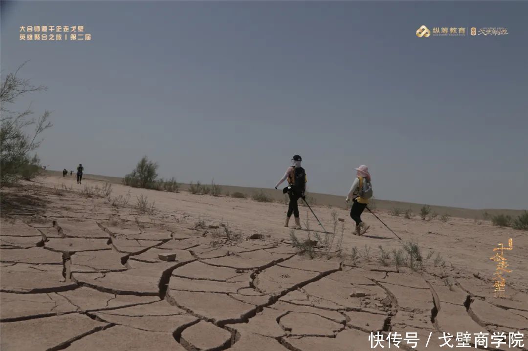 第二届 圆满完赛！|大合师道千企走戈壁英雄聚合之旅| 雄鹰队