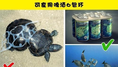 eco 人类为了拯救受伤地球所进行的13个项目