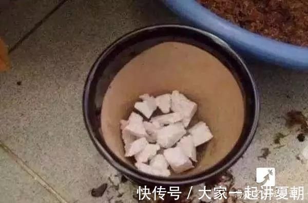 木炭|盆栽底下垫上这4种,告别“植物杀手”称号!