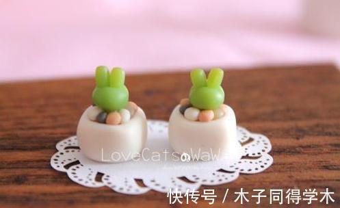 你见过最萌的植物都长什么样,此几种萌得不得了,快瞧瞧吧