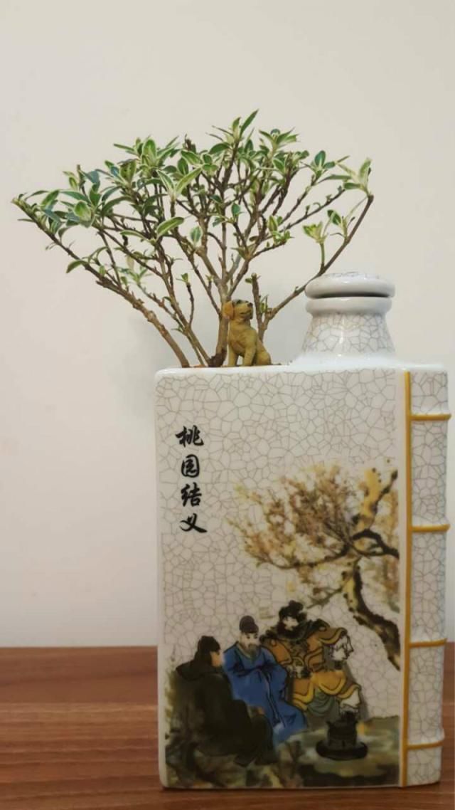 养花不捡垃圾,终究难成大神,绝美花盆统统不用钱