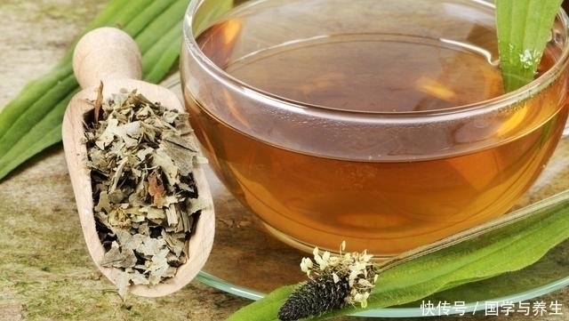 不迟|小小一味草药,竟可以除湿气、降肝火、止便秘现在知道还不迟