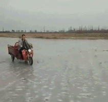 |搞笑GIF:据说看不懂的都是纯洁的好孩子