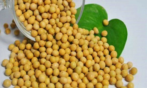 枇杷|人到中年想长寿，多吃的食物，养颜护肤、清理肠道，爱吃就赚了