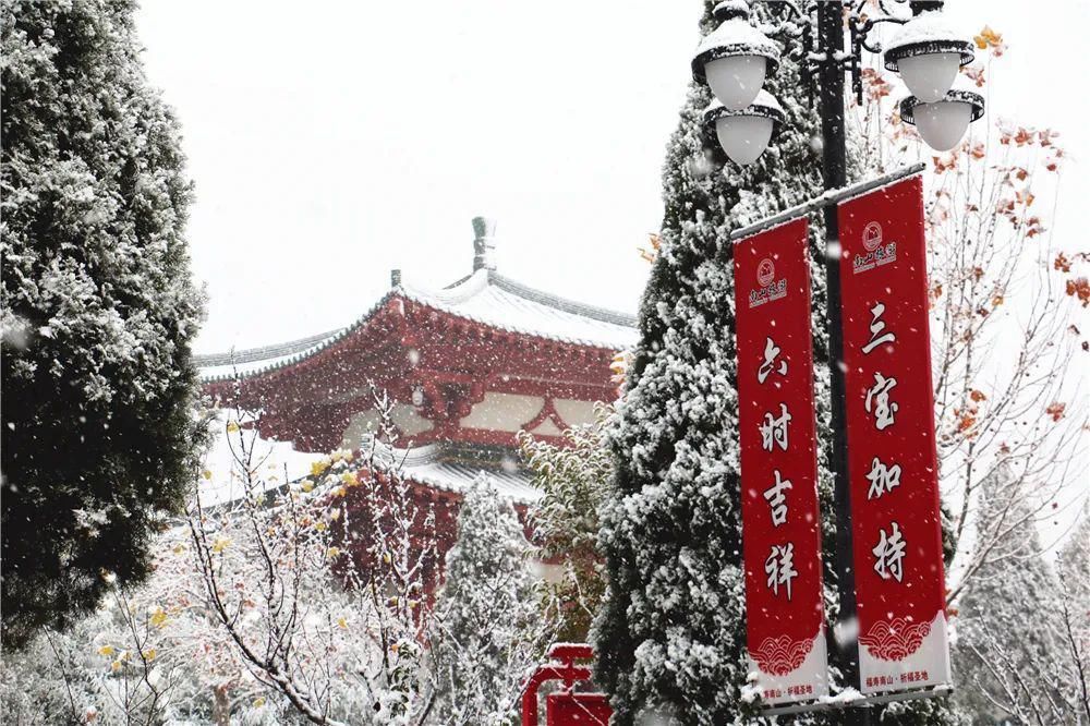 景区|惊艳！龙口南山景区迎初雪，这画面太美......