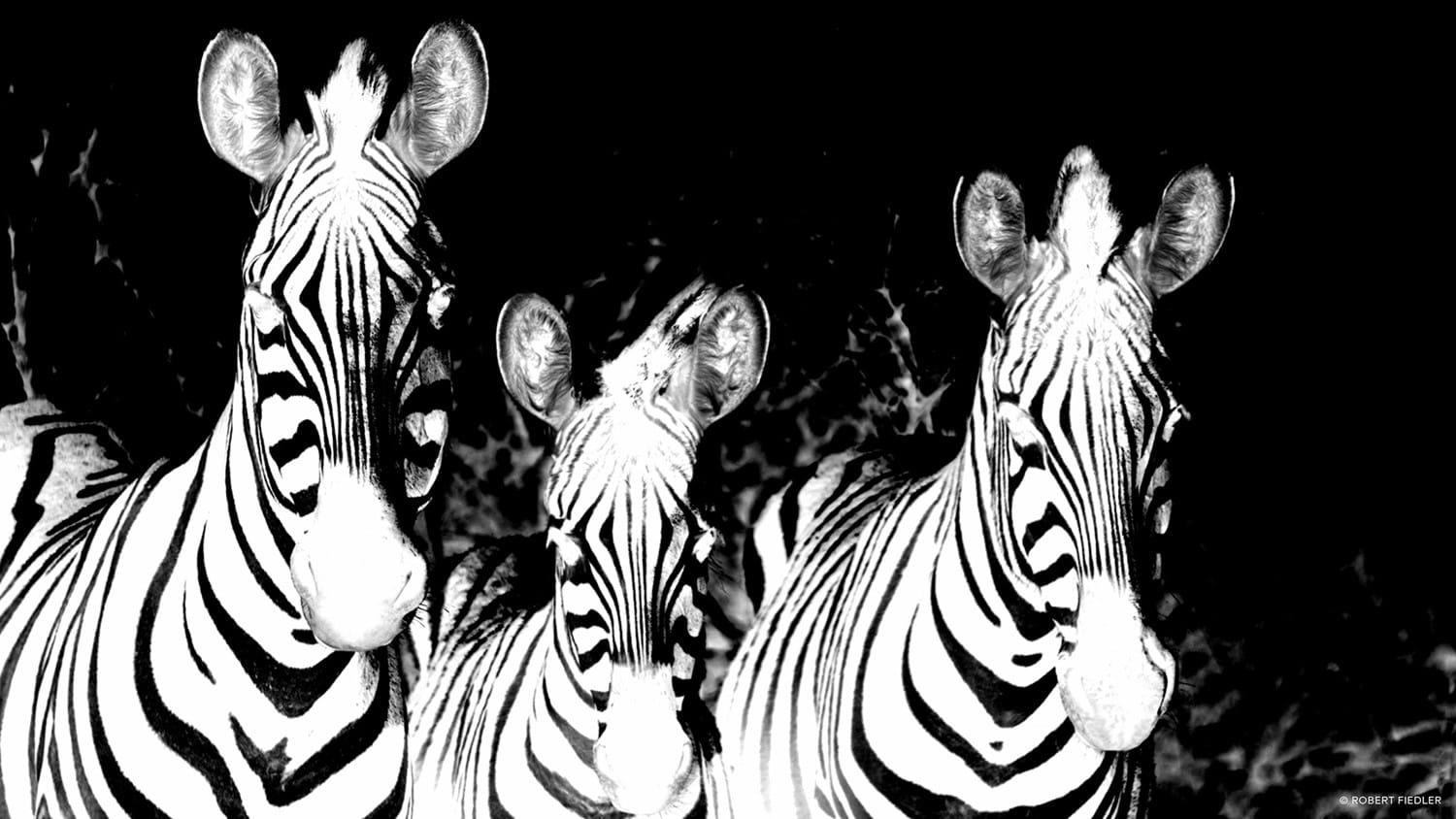 Capture One 21 Pro for Win v14.4.0.101 简体中文破解版